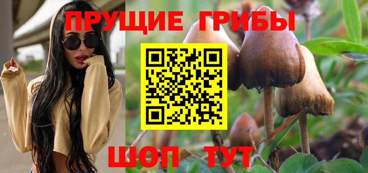 цена   Вход с VPN  Павловский Посад  Галлюциногенные грибы прущие грибы 